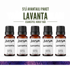 Juvya. 5'Li  Lavanta Esansiyel Uçucu Koku Yağı Buhurdanlık Yağı Difüzör Esansı Hobi Esans Ortam Oda Kokusu 10ml